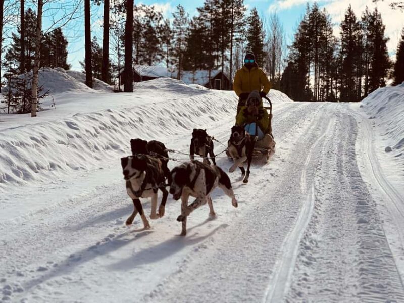 North, Dogs, Snowmobiles & Lights - Practical Considerations and Safety Protocols