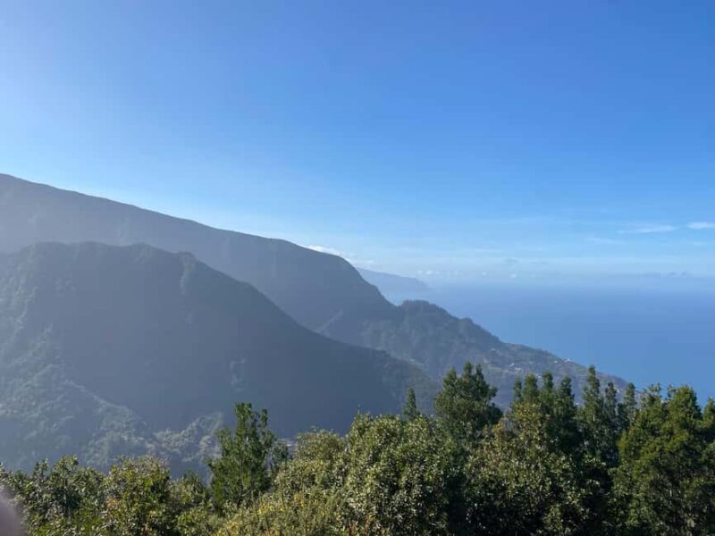 North-East Madeira Jeep Safari nature Lovers Open Roof Jeeps - Lunch at a Local Restaurant: Regional Flavors