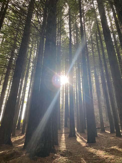 North-East Madeira Jeep Safari nature Lovers Open Roof Jeeps - Practical Tips and Considerations