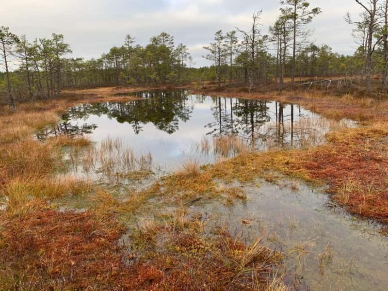 North Estonia: Nature and Mystery Tour - Key Points