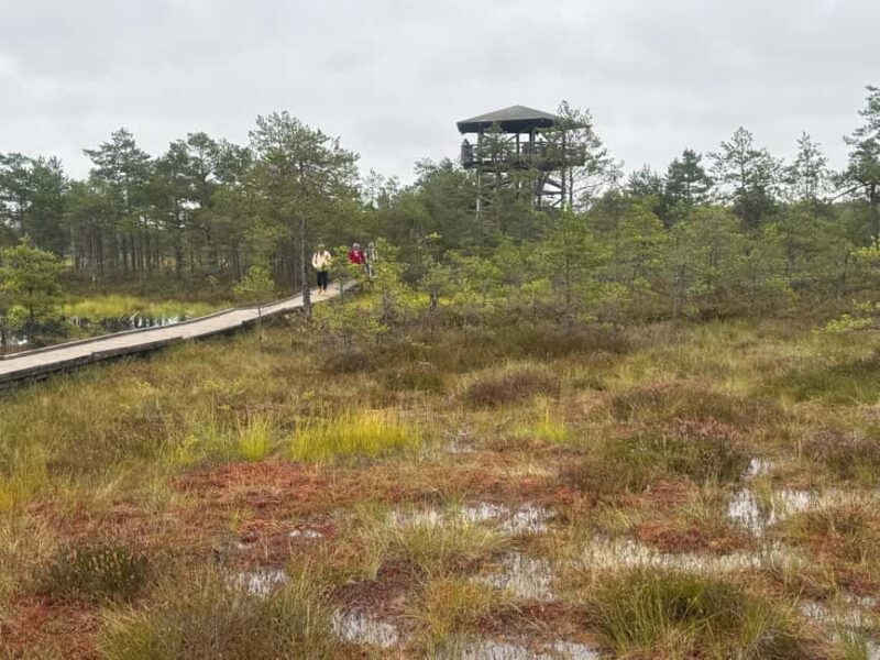 North Estonia: Nature and Mystery Tour - The Tour Itinerary: From Tallinn to Estonia’s Natural and Historic Sites