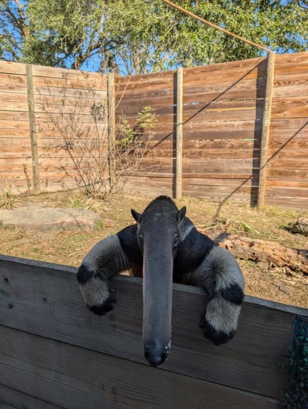 North Florida Wildlife Center General Admission - Exploring Expedition: Madagascar and Global Bird Exhibits