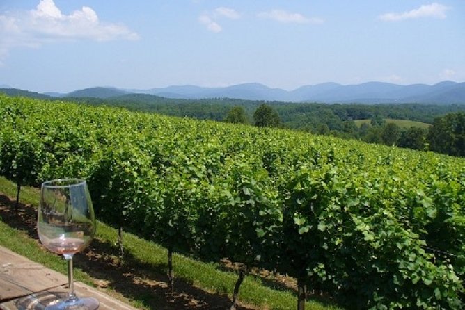 North Georgia Wine Country Tour from Atlanta - Starting Point and Transportation to North Georgia