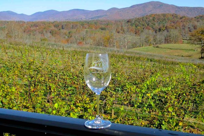 North Georgia Wine Country Tour from Atlanta - CeNita Vineyards: A Highlight of the Day