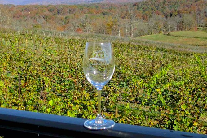 North Georgia Wine Country Tour from Atlanta - The Tour’s Unique Selling Points