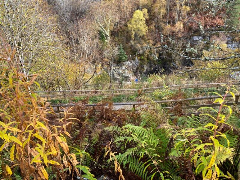 NORTH HIGHLAND TOUR, DUNROBIN CASTLE & MORE FROM INVERGORDON - Return to Invergordon: Practical and Punctual