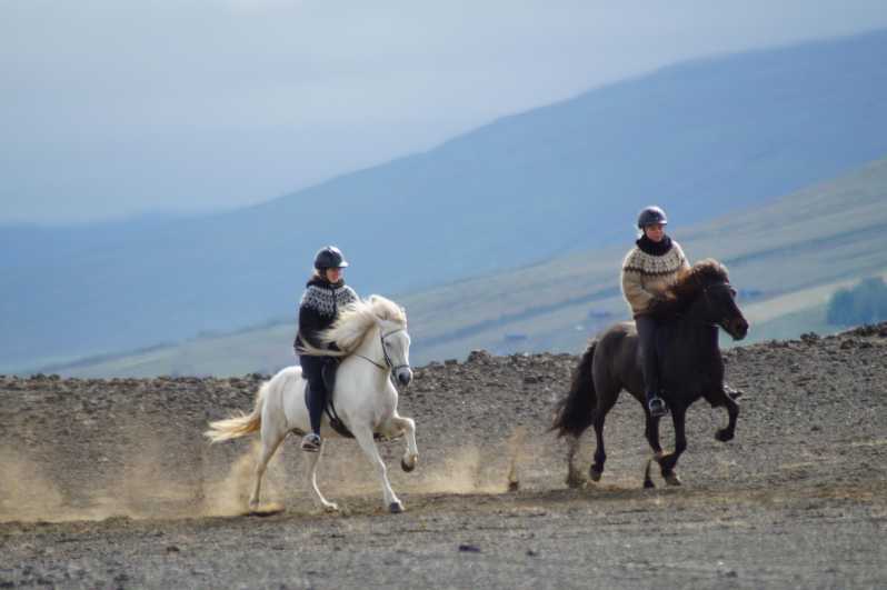 North Iceland: Horseback Riding Tour - The Icelandic Horses and Their Unique Tölt Gait