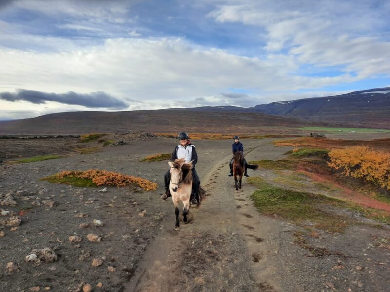 North Iceland: Horseback Riding Tour - Final Thoughts on the North Iceland Horseback Riding Tour