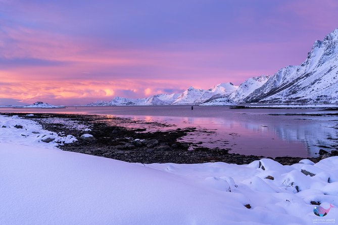North Lofoten Top Highlights Photo Tour (Haukland) - Starting Point and Logistics in Svolvaer
