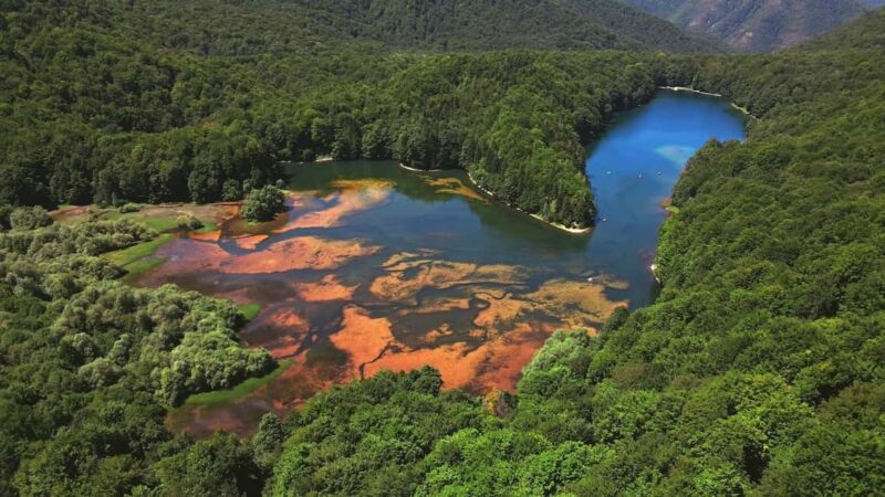 North Montenegro return trip - Biogradska Gora National Park - Discovering Biogradska Gora National Park’s Primeval Forest
