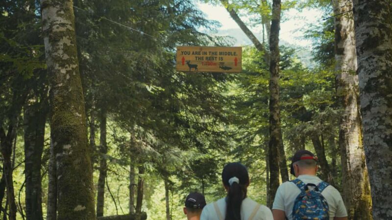 North Montenegro return trip - Biogradska Gora National Park - Practical Details: Transportation and Group Size