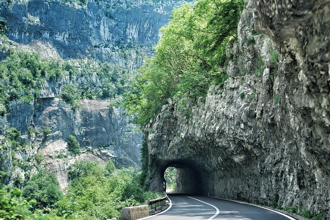 North of Montenegro Private Tour - Tara Canyon & National Parks - Optional Visits to Biogradska Gora National Park