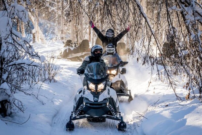 North Pole Alaska: Guided Fairbanks Snowmobile Tour - An Excellent Choice for First-Timers and Experienced Riders
