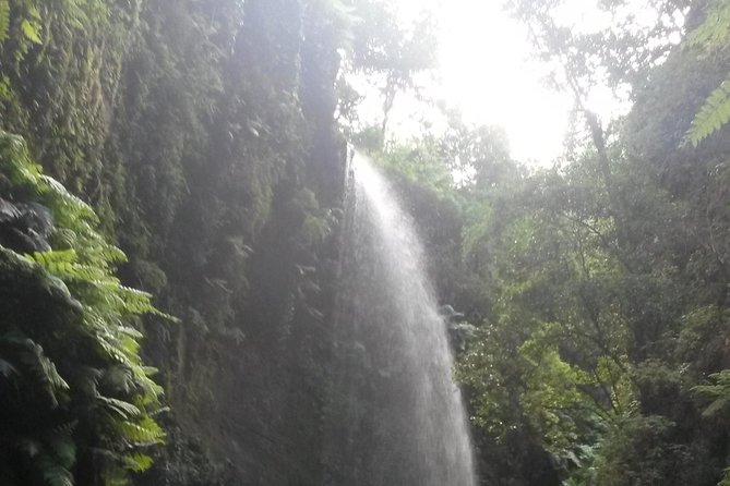 North Route (Price per vehicle, not per person) - Stopping at Mirador de El Time and the Villages of Puntagorda and Tijarafe