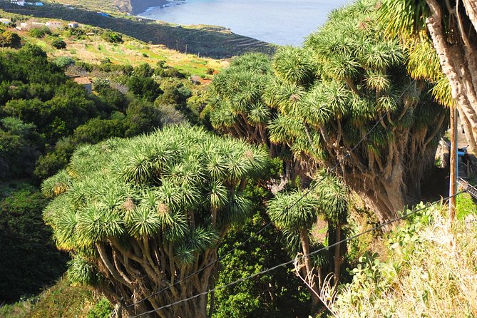 North Route (Price per vehicle, not per person) - Practical Details: Logistics and Booking