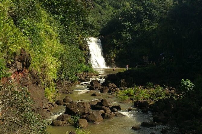 North Shore day,Waterfalls and Turtles Tour - Hawaiian Village Visit and Cultural Insights