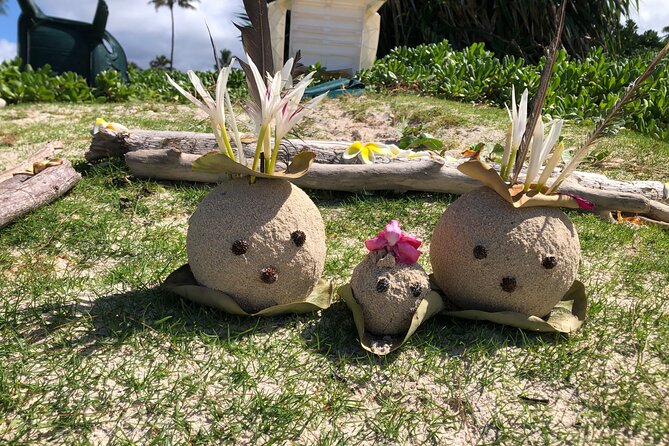 North Shore day,Waterfalls and Turtles Tour - Waterfall Swimming with Safety Precautions