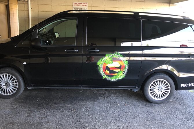 North Shore day,Waterfalls and Turtles Tour - Turtle Watching and Beach Time in Puaena