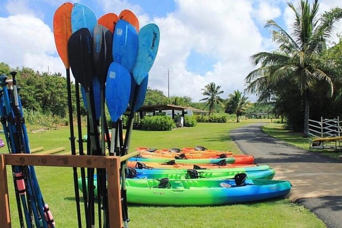 North Shore Farm: Anahulu River, Kayak-Sup, Turtles, Lunch & More - Explore the Farm and Interact with Friendly Animals