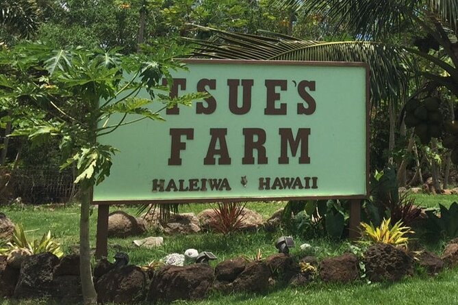 North Shore Private Tour - Strolling Through Haleiwa Town Center