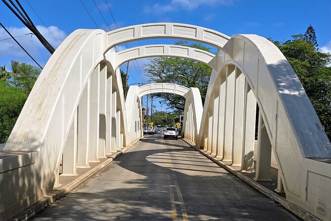 North Shore Turtle Bay Private Airport Transfer Up to 10 Guests - Frequently Asked Questions