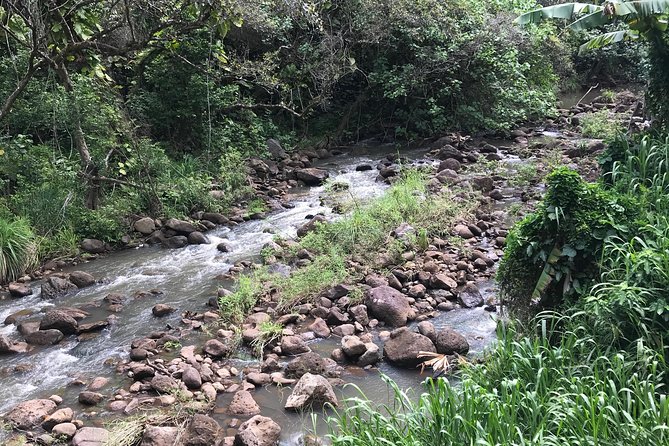 North Shore / Waimea, Falls Day & Swim with Turtles - The Guide: Knowledgeable, Friendly, and Well-Connected