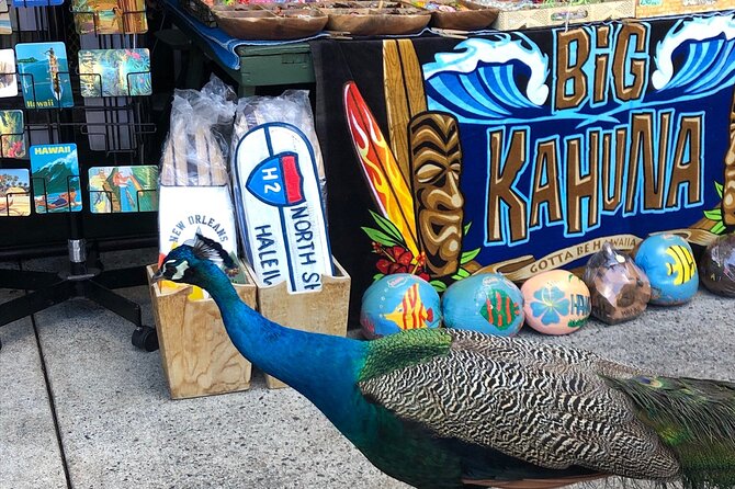 North Shore / Waimea, Falls Day & Swim with Turtles - Optional Extras and Considerations