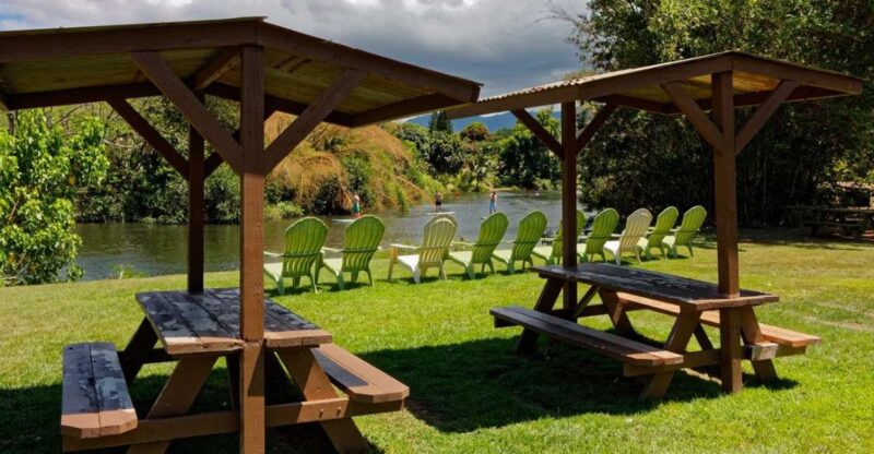 North Shore's best day! River, Turtles, Farm with Lunch - North Shores Best Day! River, Turtles, Farm with Lunch