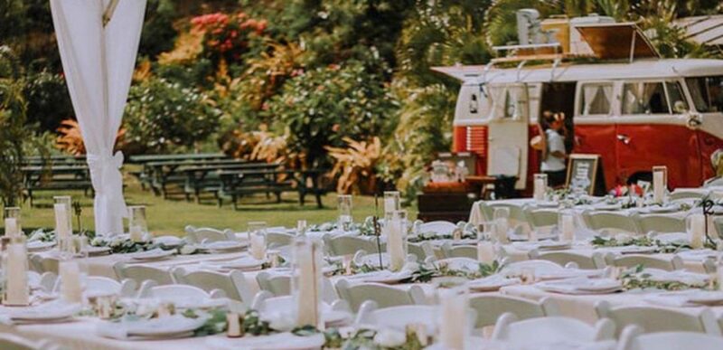 North Shore's best day! River, Turtles, Farm with Lunch - Key Points