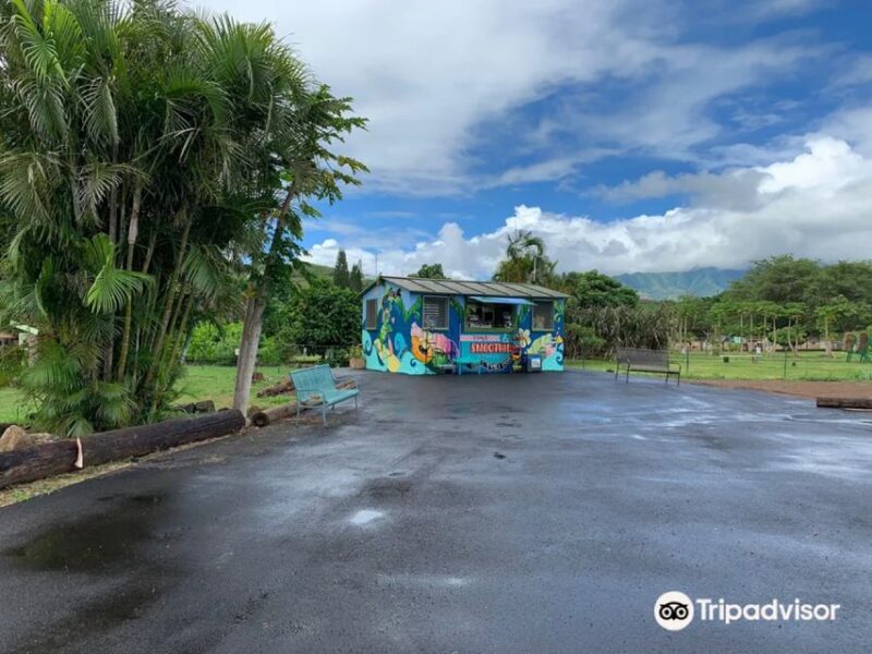 North Shore's best day! River, Turtles, Farm with Lunch - Additional Amenities: Showers, Restrooms, and Parking