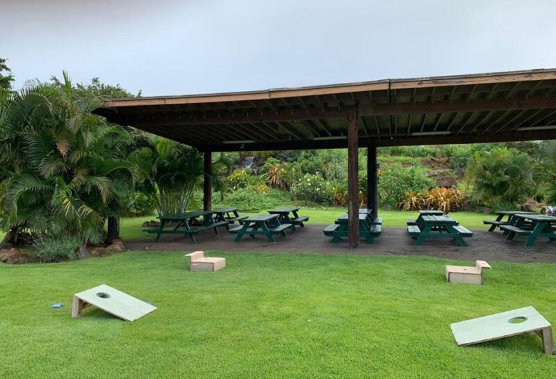 North Shore's best day! River, Turtles, Farm with Lunch - Practical Details: Meeting, Transport, and Booking