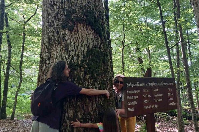 NORTH TOUR Np Biograd Gora-Lake-Moraca Canyon & Monastery-Kolasin - Cultural and Natural Highlights Combined