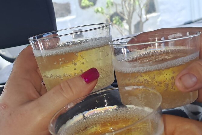 North Tour, Viewpoint, Brunch, White beach & lava pools - Starting the Day: Pickup and Early Morning Arrivals