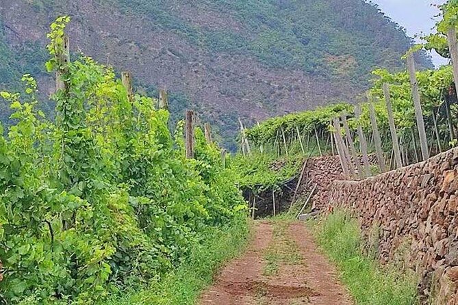 North Tour & Wine Tasting - 4x4 (Small Groups) - Flexibility and Booking Details