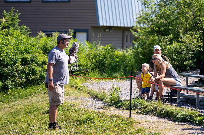 North Vancouver and Grouse Mountain Tour - Optional Visit to Capilano Suspension Bridge Park