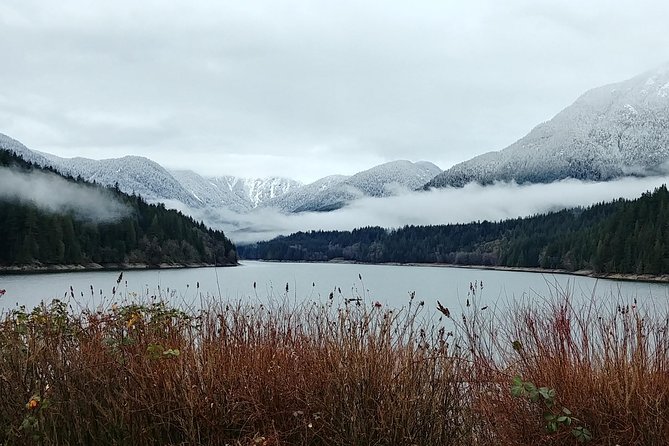 North Vancouver Discovery Private Tour - Ride Up to Grouse Mountain and Encounter the Wildlife