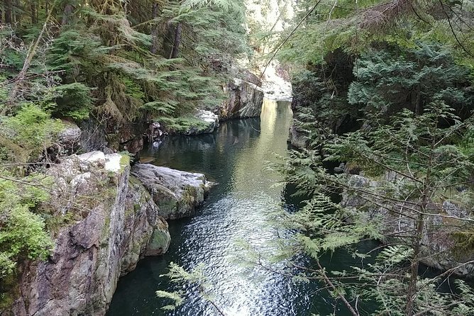 North Vancouver Discovery Private Tour - Comfortable Transportation and Guided Commentary