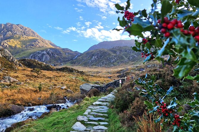 North Wales & Caernarfon Castle Full-Day Tour from Manchester - The Comfort of Small-Group Travel and Expert Guides