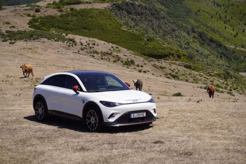 North-West Madeira: Porto Moniz, Seixal, São Vicente, Fanal - Seixal’s Black Sand Beaches and Waterfalls