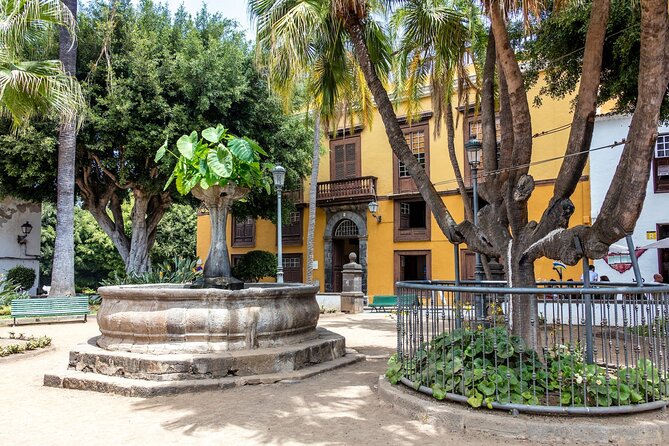 North West Tenerife Secrets - Exploring the Biodiversity of Teno Natural Park