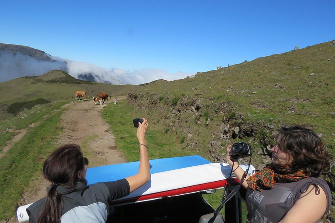 Northeast 4x4 Santana and Landscapes Day Trip - Fortim do Faial: A Historic Viewpoint