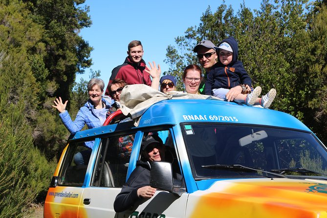 Northeast meet the locals 4x4 tour - Santana / Caniçal - Explore Madeiras Northeast Coast with a 4x4 Adventure for $73