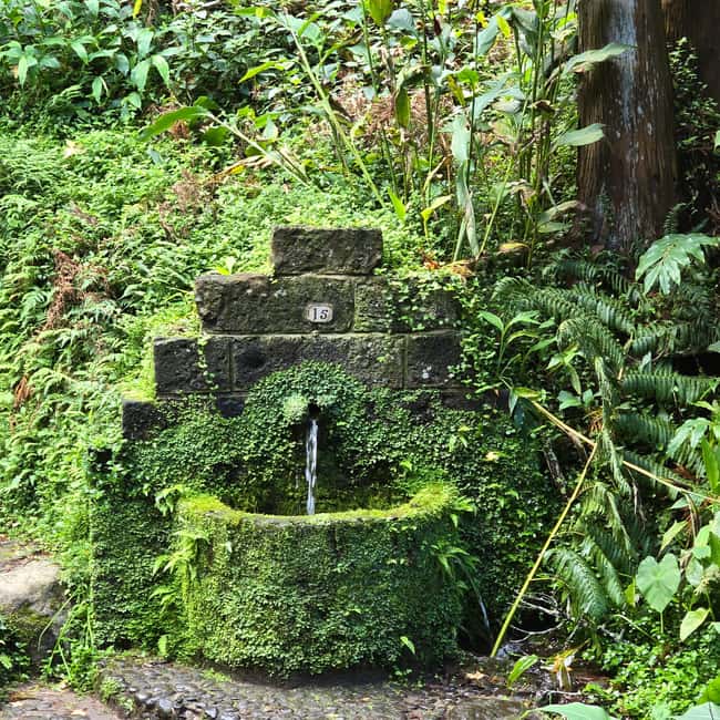 Northeast: Tour of Unspoiled Nature and Ribeira dos Caldeirões - Spectacular Views from Ponta do Cintrão