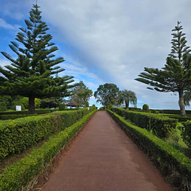 Northeast: Tour of Unspoiled Nature and Ribeira dos Caldeirões - Lunch Break with Authentic Azorean Cuisine