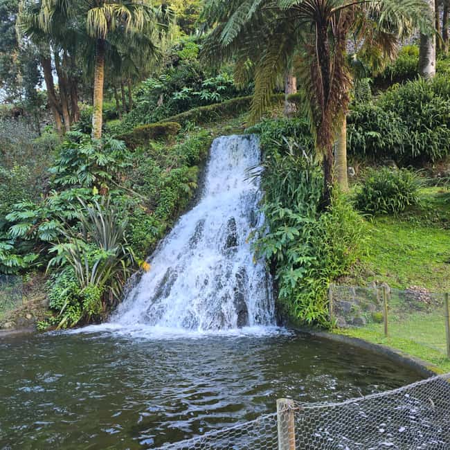 Northeast: Tour of Unspoiled Nature and Ribeira dos Caldeirões - The Botanical Garden at Ponta do Sossego