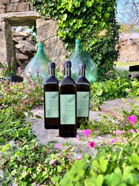 Northern Istria: Olive Oil Tasting with scenic landscape - Key Points