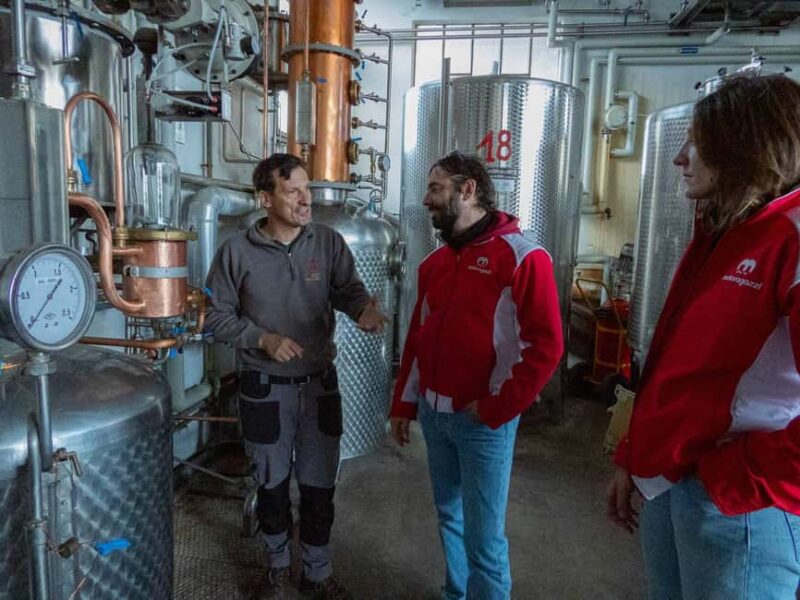 Northern Italy: 5-Day Motorcycle/Scooter/Car Tour - Crossing Stelvio Pass and Exploring Bormio