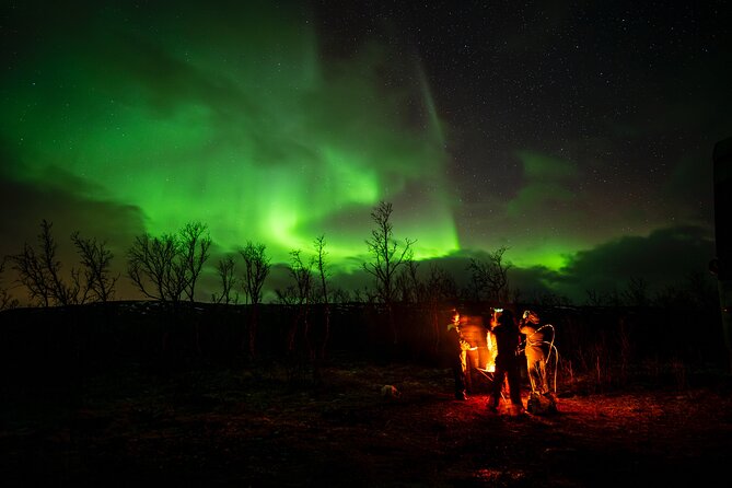 Northern light hunt in Tromsø. WiFi included - Tromsø Departure Point and Timings for the Northern Lights Tour