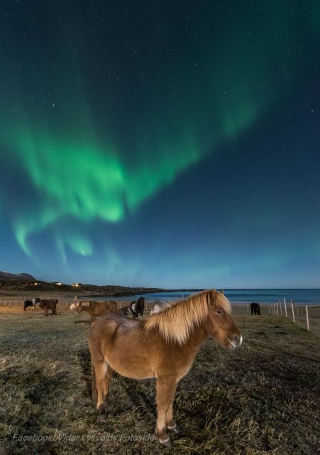 Northern light on horseback - Key Points