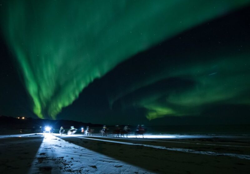Northern light on horseback - The Unique Setting at Hov Gård on Gimsoya Island